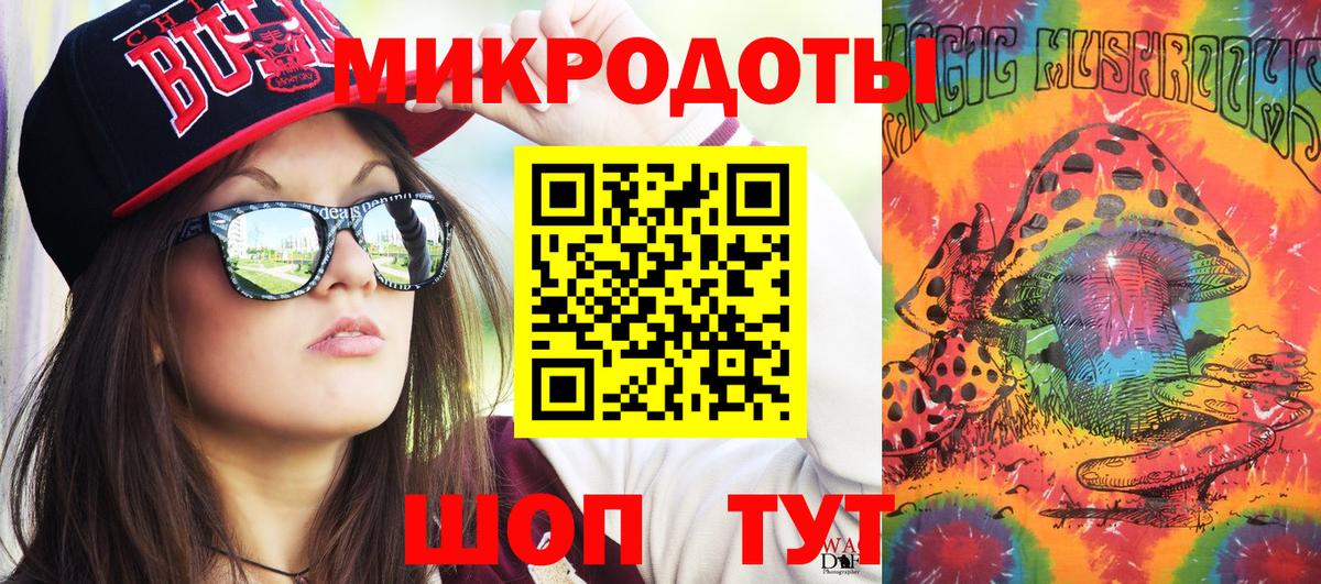 Галлюциногенные грибы Psilocybe Советская Гавань
