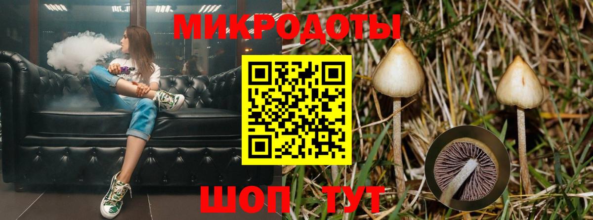 Советская Гавань  Псилоцибиновые грибы Magic Shrooms  Вход с VPN 